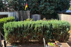 Renovierte 4-Zimmer-Wohnung mit Garten in Rheine-Hauenhorst – Die vollständige Adresse der Immobilie erhältst du vom Anbieter., 48432 Rheine – Vorschaubild 28