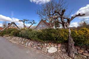 Ohne Makler: Etwas ganz Besonderes, Haus in Rullstorf f. Liebhaber und Naturfr. Kontakt 015123472768 – Postweg 7, 21379 Lüneburg (Kreis) – Vorschaubild 9