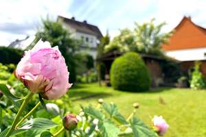 *** Einfach und Schön *** Einfamilienhaus in Marsberg-Erlinghausen – Marsberger Str. 20, 34431 Marsberg – Vorschaubild 43