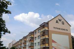 Willkommen Zuhause! 3-Raum Wohnung in Triebes – Dr.-Wilhelm-Külz-Straße 21, 7950 Zeulenroda-Triebes – Vorschaubild 1