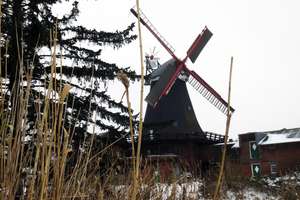 Property thumbnail 5