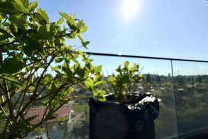 PANORAMA und LUXUS vereint ! Exklusiver Neubau zwischen Kudamm und Grunewald ! SOFORT BEZUGFREI ! – Helene-Jacobs-Straße 18, 14199 Schmargendorf, Berlin – Vorschaubild 12