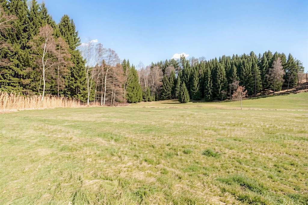 Immobilie in Saldenburg - Alleinlage mit Weitblick bis zu den Bergen! - Bild 4