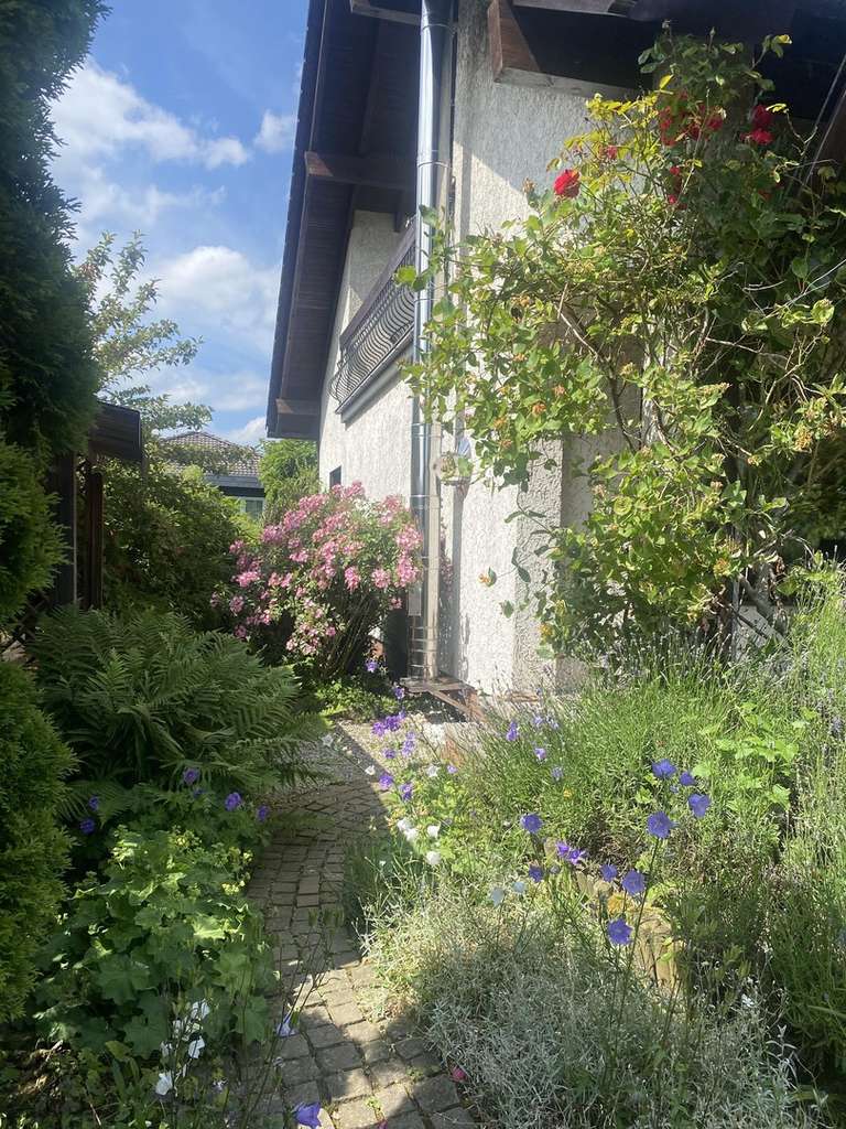 Immobilie in Polch - Top gepflegtes, freistehendes Ein- bis Zweifamilienhaus - Bild 2