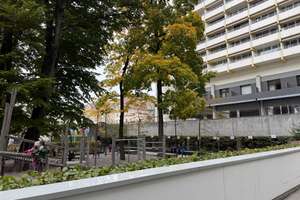 Property thumbnail 18