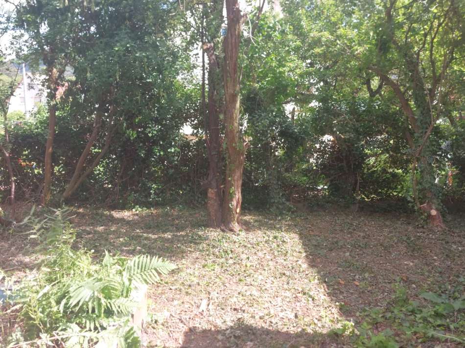 Garten 3