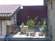 Gepflegte 2-Raum-Wohnung mit Balkon und Einbauküche in Wiesbaden-Auringen