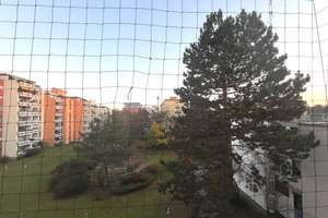 Charmante 2-Zi.-Wohnung mit Balkon & Tiefgarage in Nürnberg West
 – Die vollständige Adresse der Immobilie erhältst du vom Anbieter., 90431 Großreuth bei Schweinau, Nürnberg – Vorschaubild 19