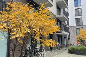 Property thumbnail 1