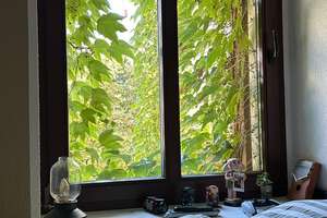 Property thumbnail 9