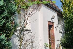 Freistehendes Einfamilienhaus mit 8 Zimmern. Einliegerwohnung und Fernwärme möglich – Fasanenhof 3, 38446 Hellwinkel, Wolfsburg – Vorschaubild 5