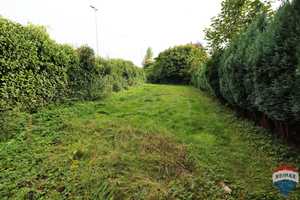 Tolle Gelegenheit - Doppelhaushälfte im Herzen von Kleve – Ein Liebhaberstück für Handwerker! – Kleve (Kreis) – Vorschaubild 24