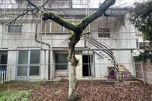 1 bis 3 Generationenhaus zum Ausbau inkl. Garten und vermietetem Appartement – Moritz-Müller-Str. 4a, 75175 Pforzheim – Vorschaubild 7