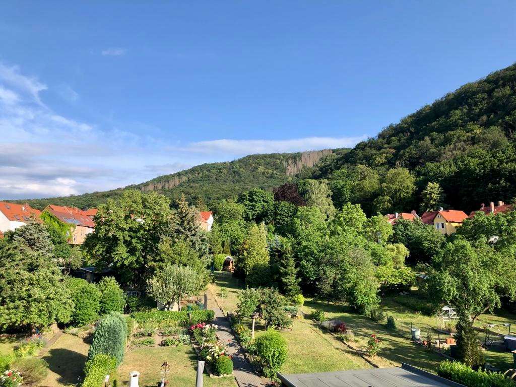 Immobilie in Thale - Gepflegtes Mehrfamilienhaus in Thale - Bild 1