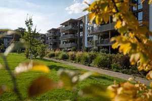 Wohnen im Park - sonnige 2-Zimmer-Wohnung im 3.OG mit Blick ins Grüne – Theo-Neubauer-Str. 24, 99085 Krämpfervorstadt, Erfurt – Vorschaubild 24