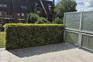 AC-Brand | exponierte, ruhige Wohnlage | Modernisierte 4-Zi-Wohnung (EG) mit Terrasse & Garage – Zehntweg 17, 52078 Brand, Aachen – Vorschaubild 16