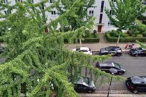 Eine 3 Raumwohnung - ohne Balkon, aber mit viel Platz – Hepkestr. 47, 1309 Gruna, Dresden – Vorschaubild 10