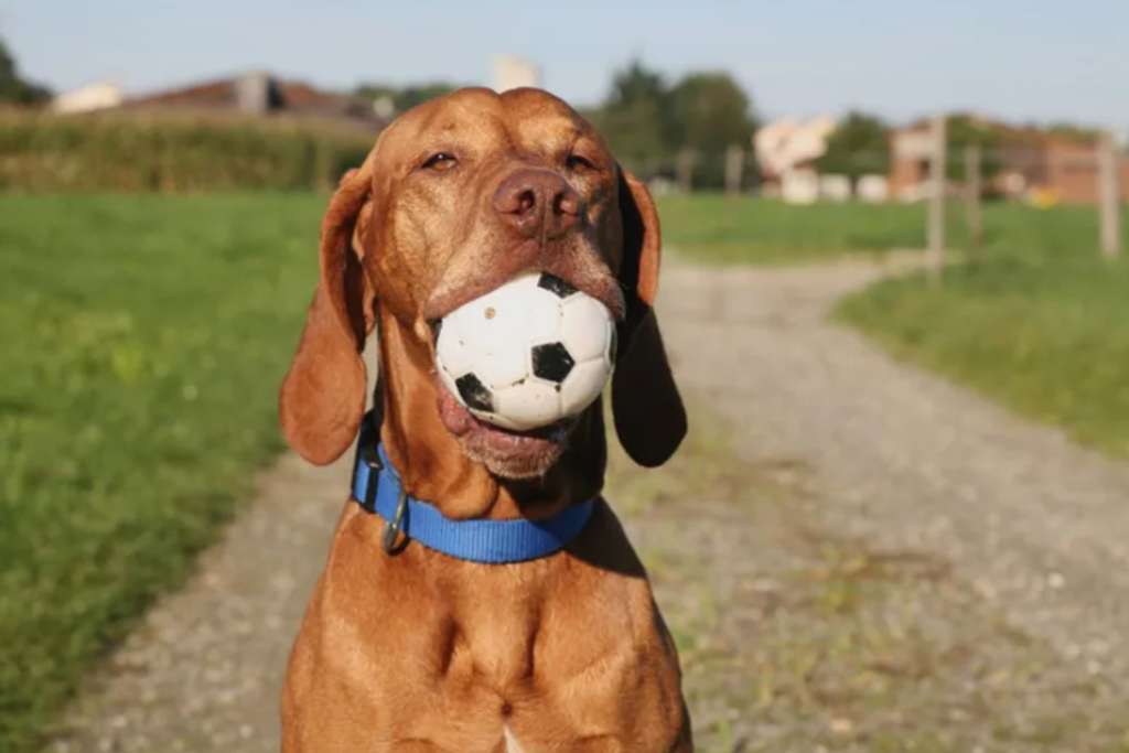 Kinderparadies – Ihr Zuhause