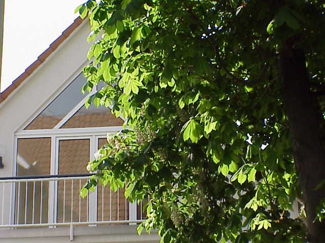 V-E-R-K-A-U-F-T... image 4