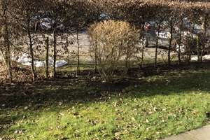 1 ZKB Erdgeschosswohnung in Uni-Nähe zu vermieten! – Prinzessinweg 40 a, 26122 Eversten, Oldenburg (Oldenburg) – Vorschaubild 10