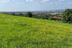 EFH an der östlichen Stadtgrenze zu Dresden, mit Weitblick ins Elbtal und nach Dresden. – Lugturmstraße 37, 1809 Heidenau – Vorschaubild 16