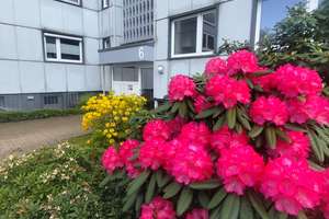 Hochwertige 3 Zimmer am Scharpenacken 