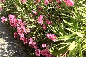 Property thumbnail 20