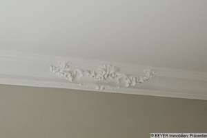 Property thumbnail 28