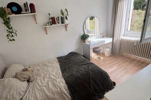 Süße Studentenwohnung im inneren Westen 