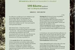 ERSTBEZUG NACH ENERGETISCHER SANIERUNG - Gartenoase! Pempelfort/4-Zimmer/2 Bäder/Große Terrasse! – Die vollständige Adresse der Immobilie erhältst du vom Anbieter., 40479 Pempelfort, Düsseldorf – Vorschaubild 11