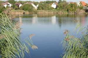 Großzügiges Reihenhaus mit Natur und See vor der Tür – stadtnah wohnen in Karlsruhe – Lachenweg 32b, 76139 Karlsruhe – Vorschaubild 15