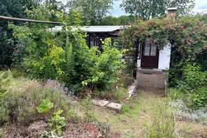 Sommer im eigenen Garten genießen- reserviert bis 12.06.2025 – Meißen (Kreis) – Vorschaubild 3