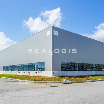 Provisionsfrei:Ca. 15.000 qm Produktionsfläche | Rampe und ebenerdig | Ca 12,00 m UKB