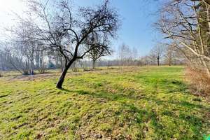 Teufelsmoor / Teilsanierter Restbauernhof mit Scheune und Backhaus – Die vollständige Adresse der Immobilie erhältst du vom Anbieter., 27711 Osterholz-Scharmbeck – Vorschaubild 12
