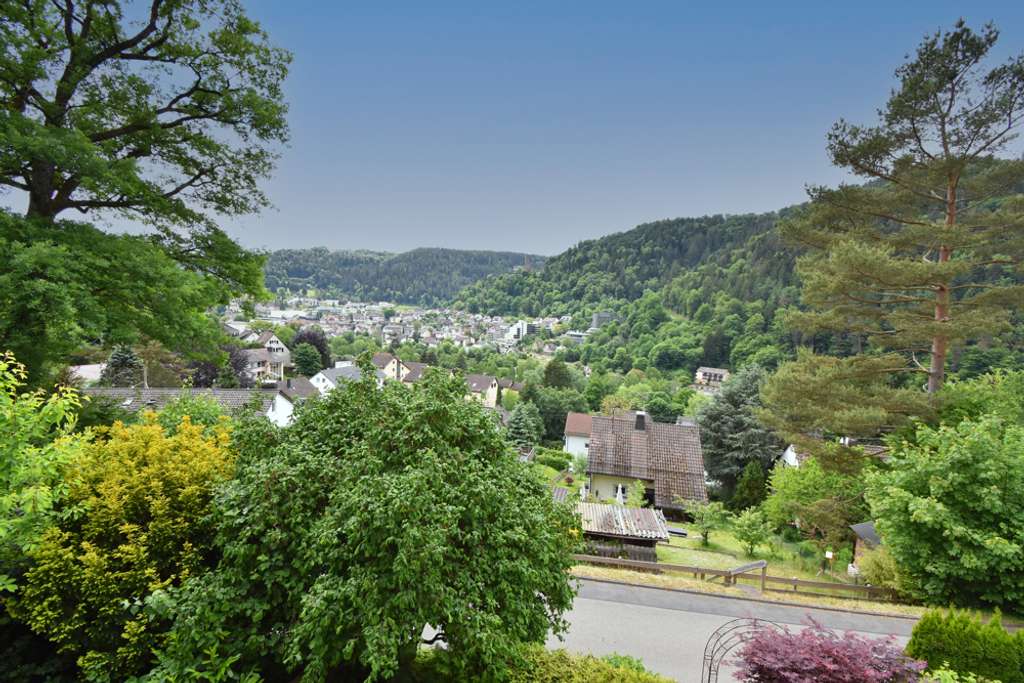 Immobilie in Bad Liebenzell - **Wohnen auf der Sonnenseite**Großzügiges Einfamilienhaus mit Einliegerwohnung in Waldrandlage** - Bild 3