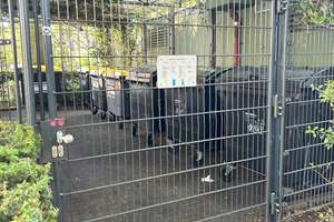 4 - Zimmer Maisonetten Wohnung incl. Tiefgaragenstellplatz in gepflegter Wohnanlage – Wiener Weg 4, 50858 Junkersdorf, Köln – Vorschaubild 20