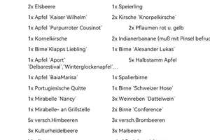 Einfamilienhaus mit ELW 255qm mit 3966qm Garten, EKl A+, Bj 2013 – Die vollständige Adresse der Immobilie erhältst du vom Anbieter., 72178 Waldachtal – Vorschaubild 73