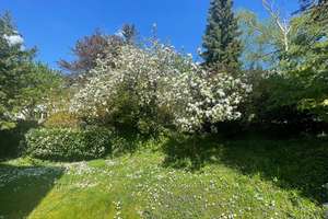 Dreifamilienhaus mit großem Gartengrundstück in begehrter Wohnlage  von Wiesloch zu verkaufen! – Lieselottestraße 9, 69168 Wiesloch – Vorschaubild 8