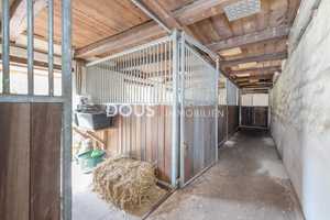 Reiten 
und Wohnen! – Lüneburg (Kreis) – Vorschaubild 10