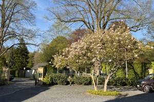 Wohnen und Arbeiten - Ihre Villa mit Wohlfühlgarantie in Wohldorf-Ohlstedt – Die vollständige Adresse der Immobilie erhältst du vom Anbieter., 22397 Wohldorf-Ohlstedt, Hamburg – Vorschaubild 9