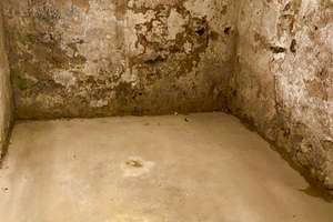Ein historisches Schmuckstück in Bestlage – Denkmalgeschütztes Fachwerkhaus in Essen-Heisingen – 45259 Heisingen, Essen – Vorschaubild 50