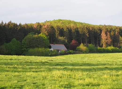 Haus kaufen in Hilter am Teutoburger Wald - ImmobilienScout24