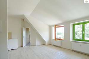 Sonniges Dach-Apartment mit EBK