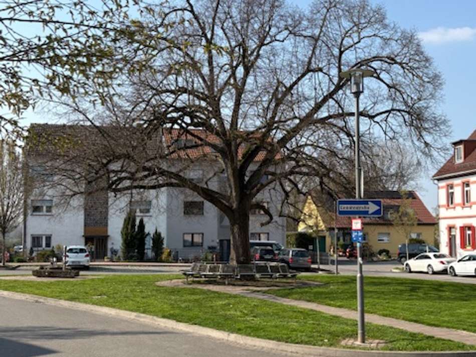 attraktive Grünanlage um die E