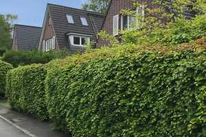 Alsterdorfer Gartenstadt charmantes Schmuckstück in bester Lage zu verkaufen – Frühlingsgarten 45, 22297 Hamburg – Vorschaubild 3