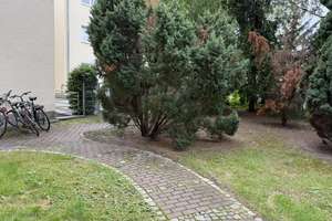 Alltagstaugliche 3,5-Zimmer-Wohnung in Berlin Lankwitz – Kaiser-Wilhelm-Straße xx, 12247 Lankwitz, Berlin – Vorschaubild 12