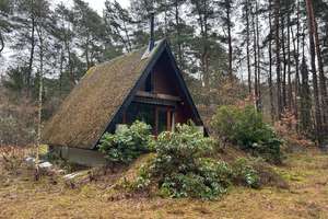 Kleines Nurdachhaus in idyllischer Waldlage bei Jelmstorf! – Die vollständige Adresse der Immobilie erhältst du vom Anbieter., 29585 Jelmstorf – Vorschaubild 13