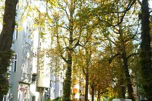 Property thumbnail 11