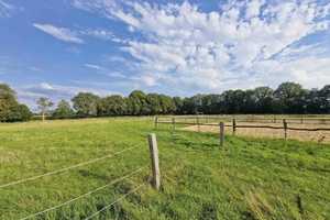Sanierter Resthof mit 3,6 ha (36.238m²) in Mühlenbarbek zu verkaufen – Steinburg (Kreis) – Vorschaubild 3