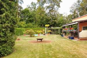 Einfamilienhaus im Bungalowstil mit Pool; Sauna & Teich in ruhiger Lage in Wassernähe – Kanalstraße 2b, 39317 Elbe-Parey – Vorschaubild 4